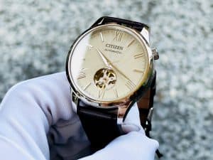 Citizen Sunshine and Luna 40 mm NH9130-17A