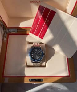 Omega Seamaster 210.30.42.20.06.001