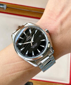 Omega Seamaster Aqua Terra 231.10.42.21.01.003