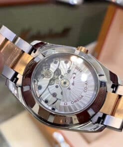 OMEGA SEAMASTER AQUA TERRA MASTER CO-AXIAL CHRONOMETER 231.20.39.21.55.004 23120392155004