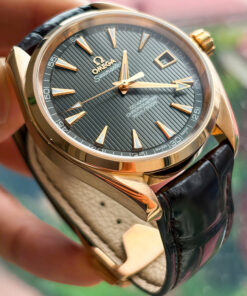 Omega Seamaster Aqua Terra Chronometer 231.53.42.21.06.001